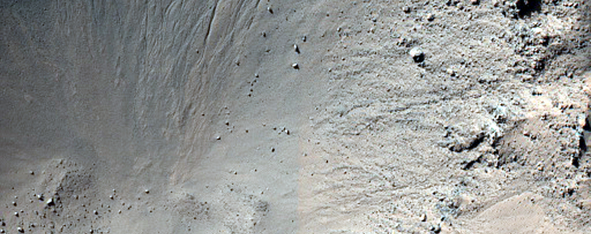 Gully Monitoring