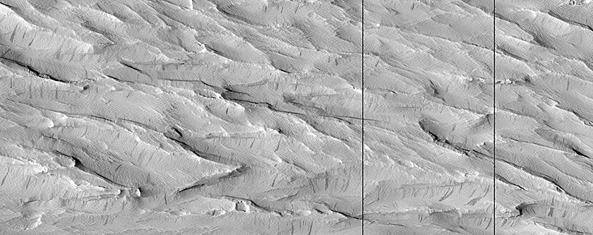 Terrain Sample