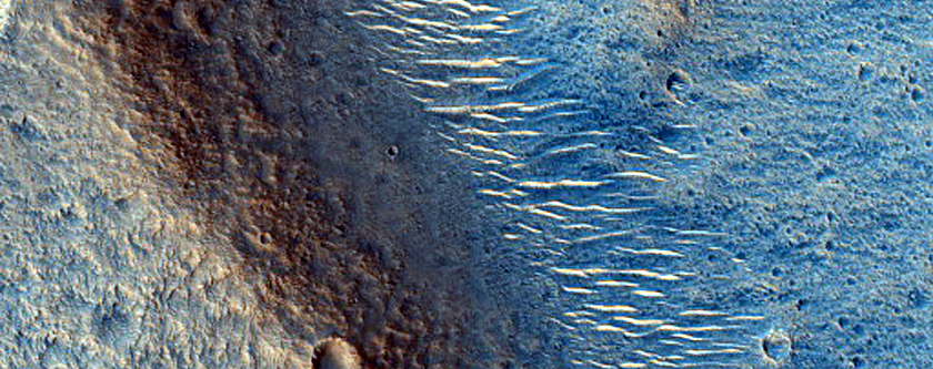 Terrain Sample