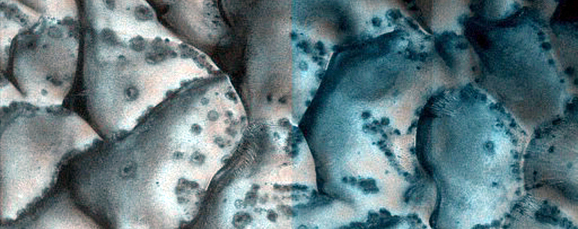 Dune Monitoring in Crater