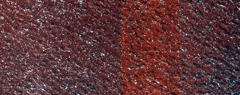Terrain Sample