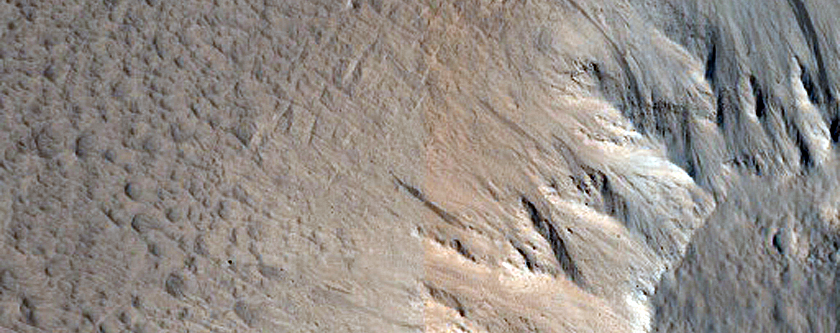 Terrain Sample