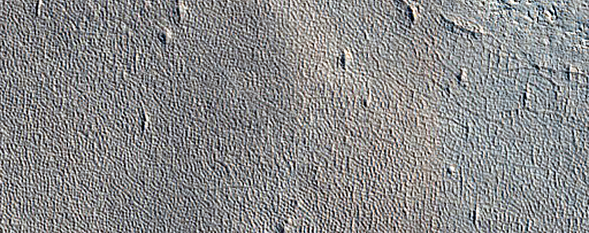 Impact Monitoring in Arcadia Planitia