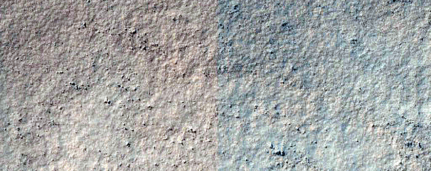 Darwin Crater
