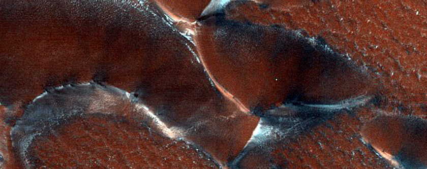 Terrain Sample
