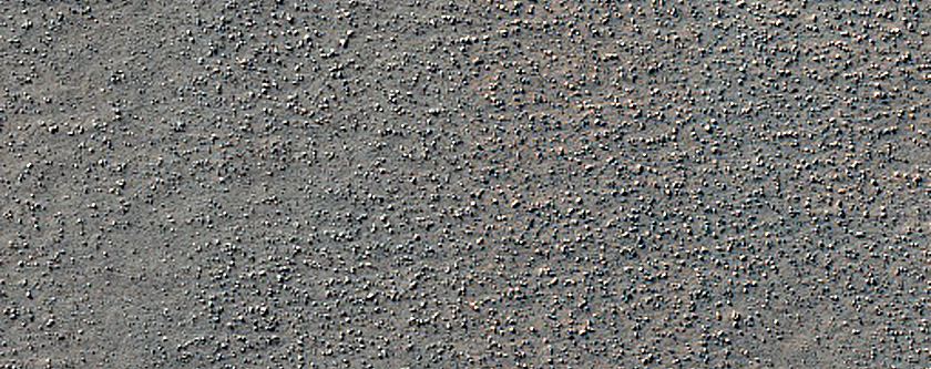 Terrain Sample