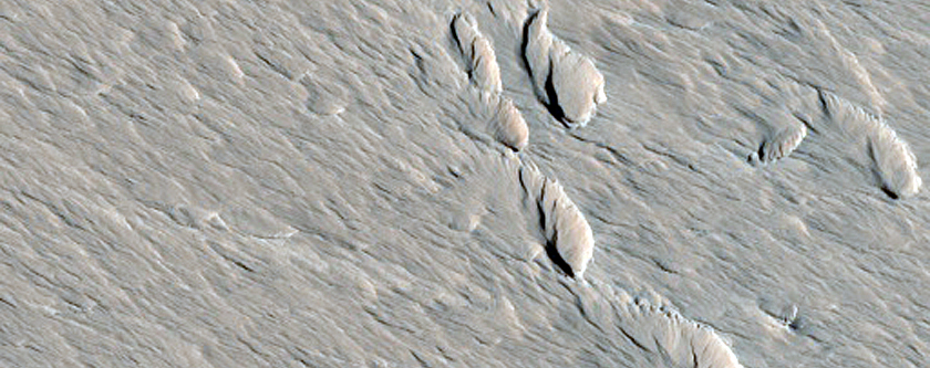 Terrain Sample