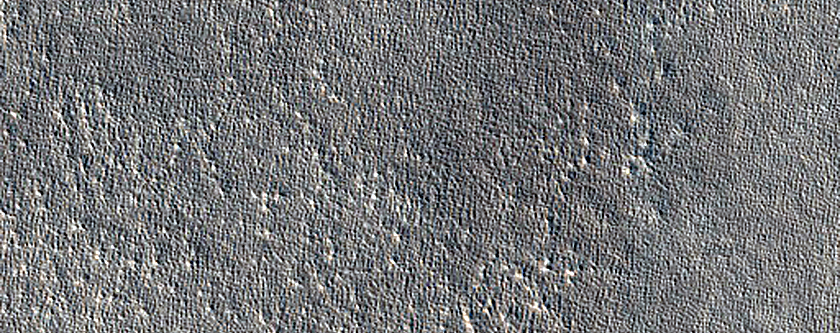 Impact Monitoring in Arcadia Planitia