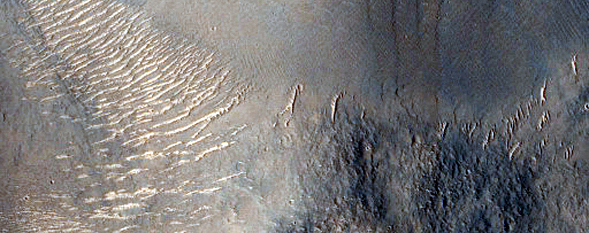 Terrain Sample