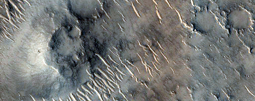 Terrain Sample