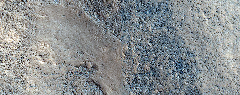 Terrain Sample