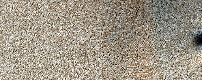 Terrain Sample