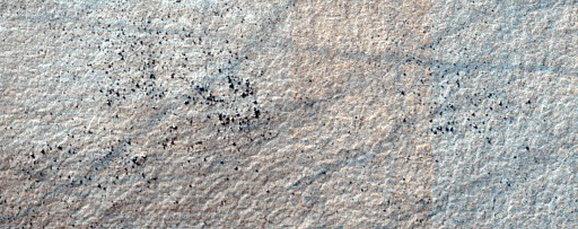 Terrain Sample