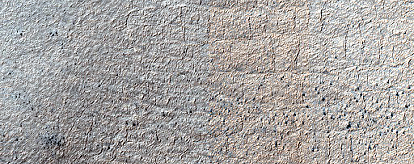 Terrain Sample