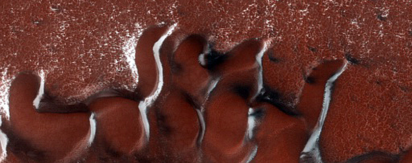 Terrain Sample