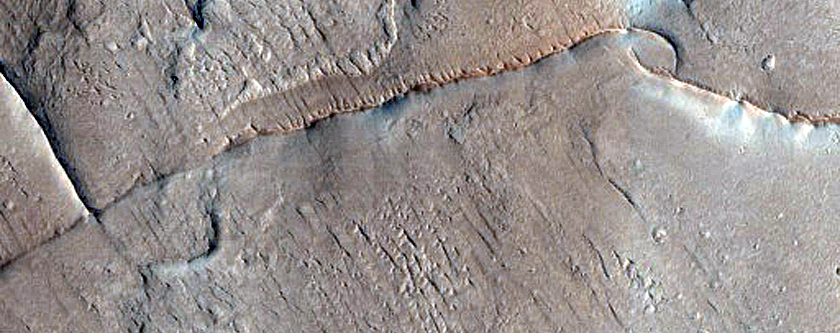 Network of Ridges in Arabia Terra