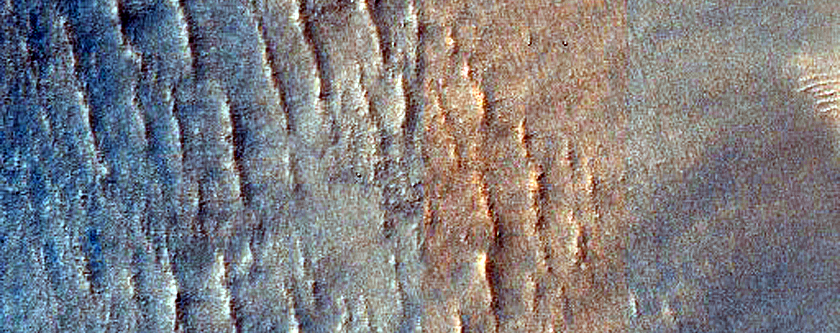 Dune Survey