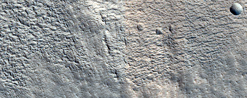 Possible Gully on Crater Wall near Mareotis Fossae