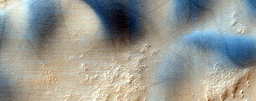 Dune Survey