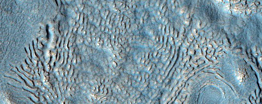 Flow Lineations and Albedo Variations on Debris Apron