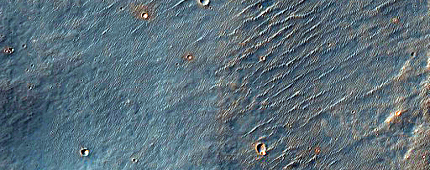 Coracis Fossae