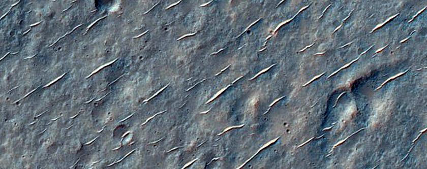 Mid-Latitude Crater with Textured Floor Seen in MOC Image E01-01201