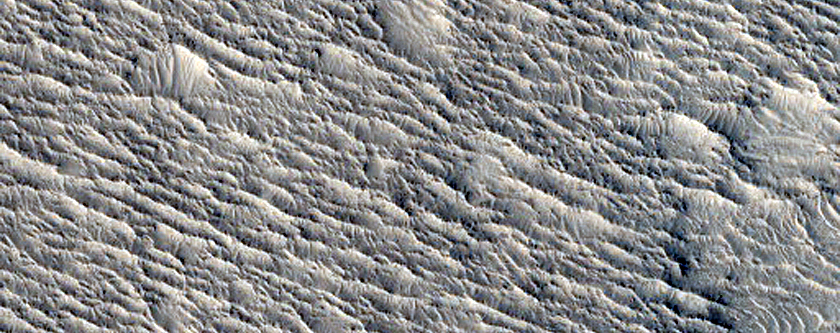 Nili Fossae