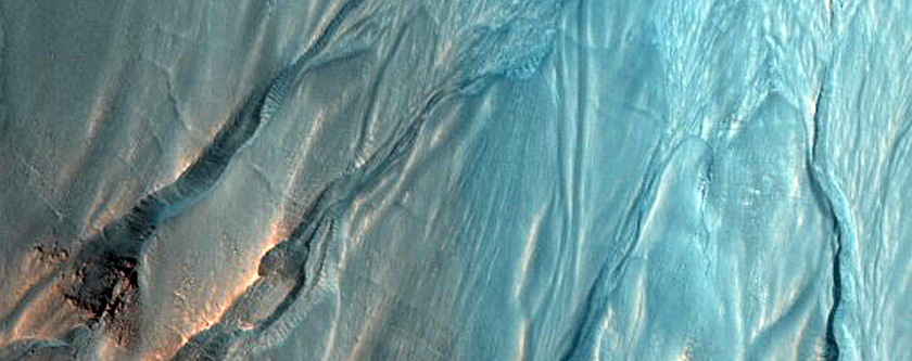 Gully Monitoring