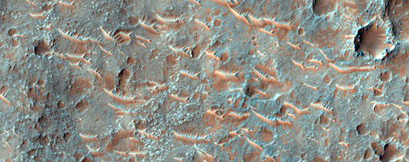 Morava Valles
