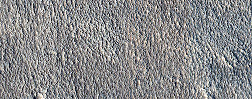 Knobby Terrain