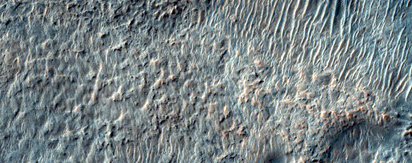Possible Mafic Materials around Crater within Newton Crater