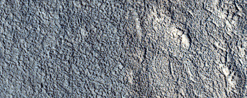 Varied Terrains in Tartarus Montes