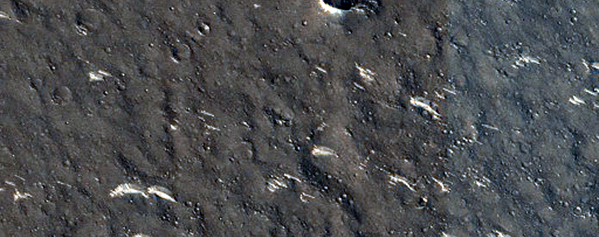 Terrain Sample