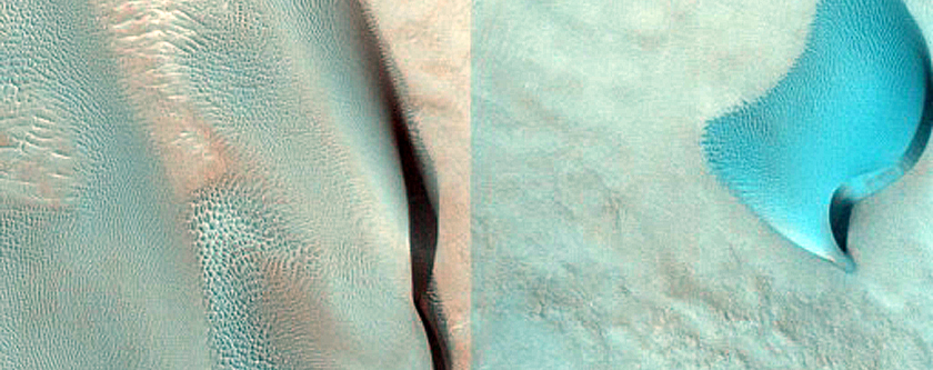 Dune Monitoring in Davies Crater