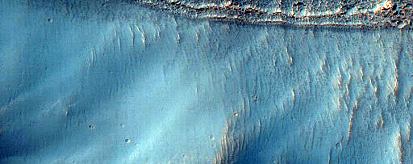 Possible Mafic Spectral Signatures near Newton Crater