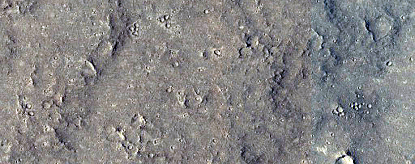 Cerberus Palus Lava Margin