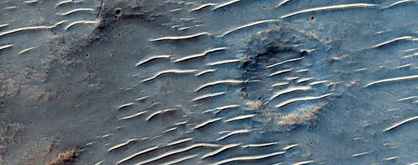 Tyrrhena Terra