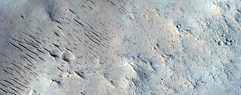 Terrain Sample