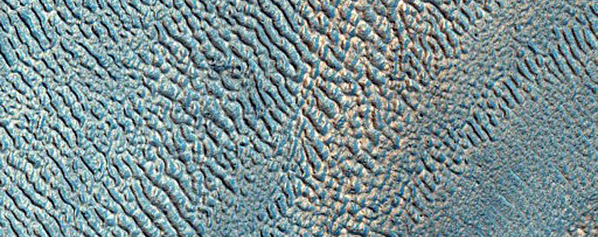 Gullies and Ablation