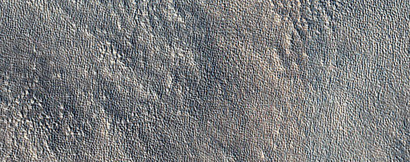 Terrain Sample