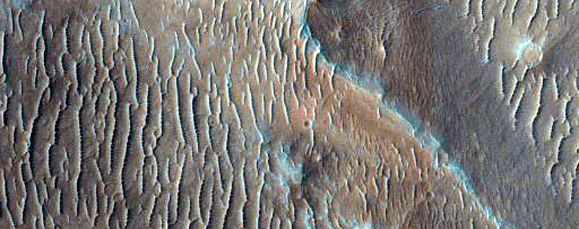 Ridges in Aurorae Chaos