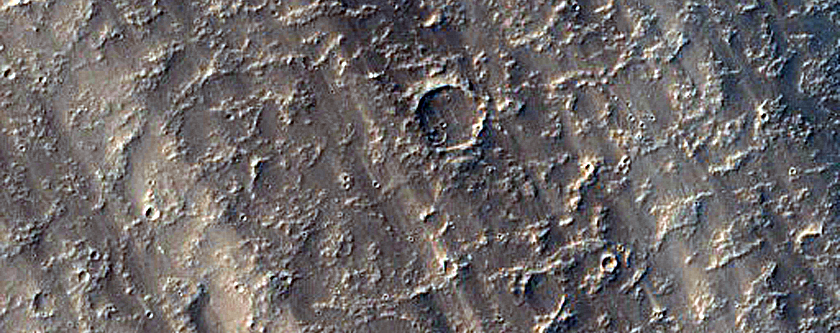 Gordii Dorsum