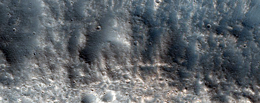 Terrain Sample