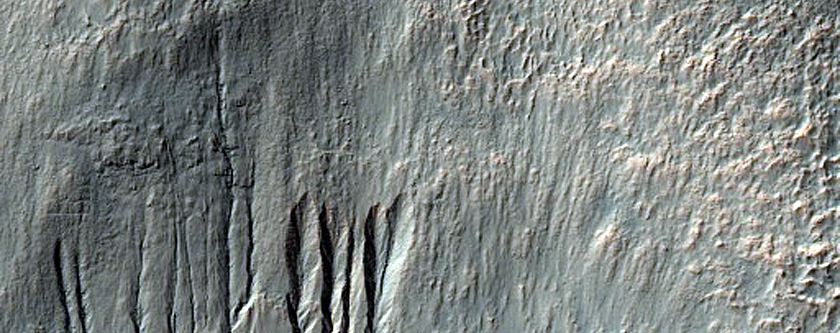 South-Facing Gullies Mid Slope