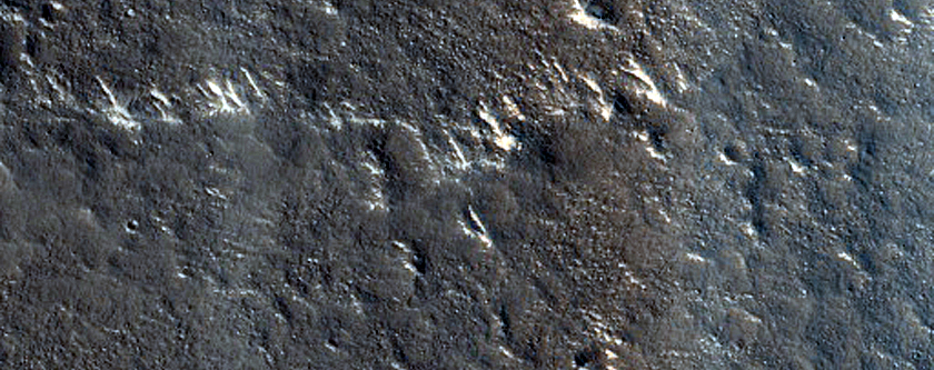 Terrain Sample