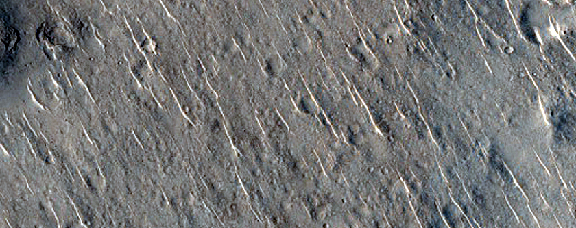Pitted Cones in Isidis