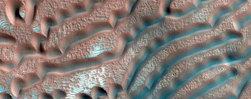 Dune Monitoring