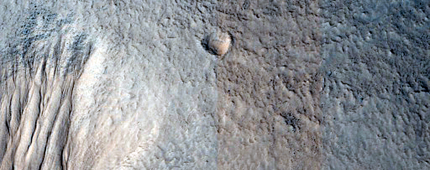 Equator Facing Patch of Gullies on Mesa