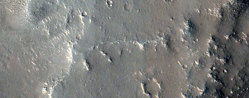 Mesa