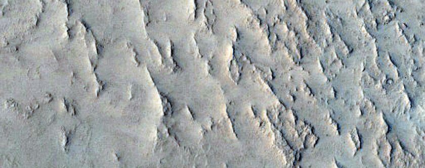 Terrain Sample